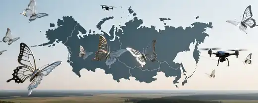В Воронежской области настороженно ждут возможных беспилотников